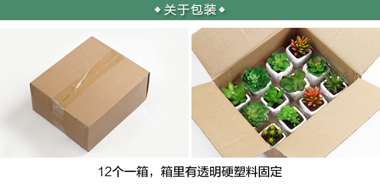 Factory wholesale mini artificial succulent plant potted plants, online store shooting props, desktop office decoration ornaments, artificial potted plants pic 20