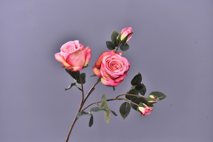 Factory wholesale of 5-head simulated rose with charred edges, retro Greek rose, living room, hotel and homestay photography props rose pic 44