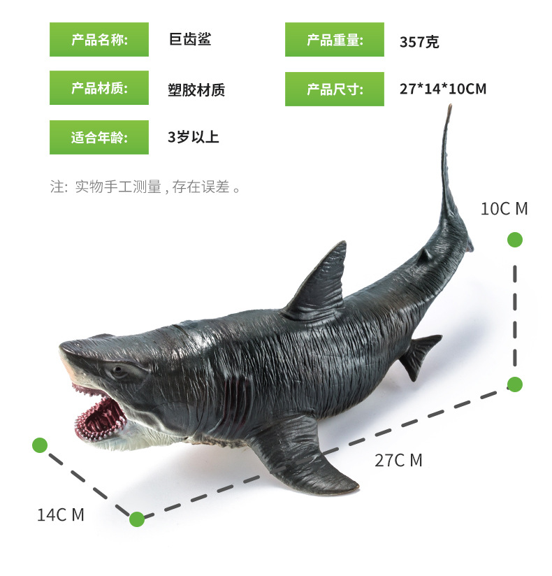 2只实心巨齿鲨_06