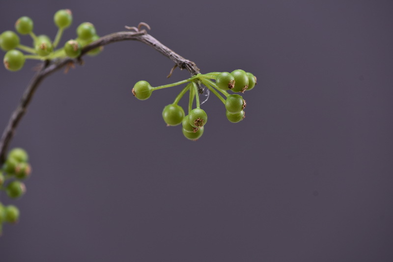 Lanjin Artificial Fruit Factory Direct Sales, wholesale of artificial berries, artificial green vine fruits, Chinese modern and simple decoration, winter green fruits, and mountain prosperity fruits pic 16