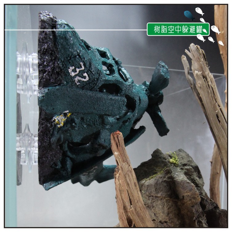 优质高透明扎带吸盘 进出水固定创意莫丝片莫斯墙制作 固定悬浮球详情5