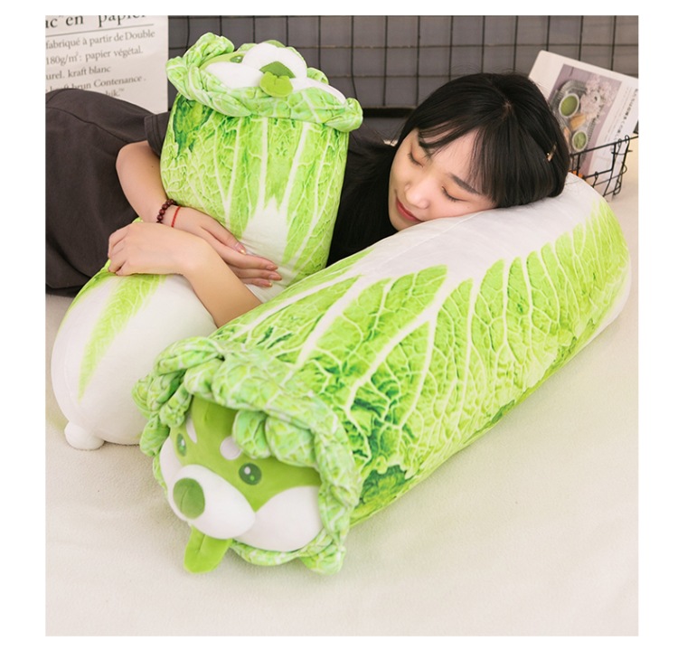 Wholesale of creative cartoon vegetable dog dolls, cabbage dog cushions and plush toys of the same style as those on Xiaohongshu pic 12