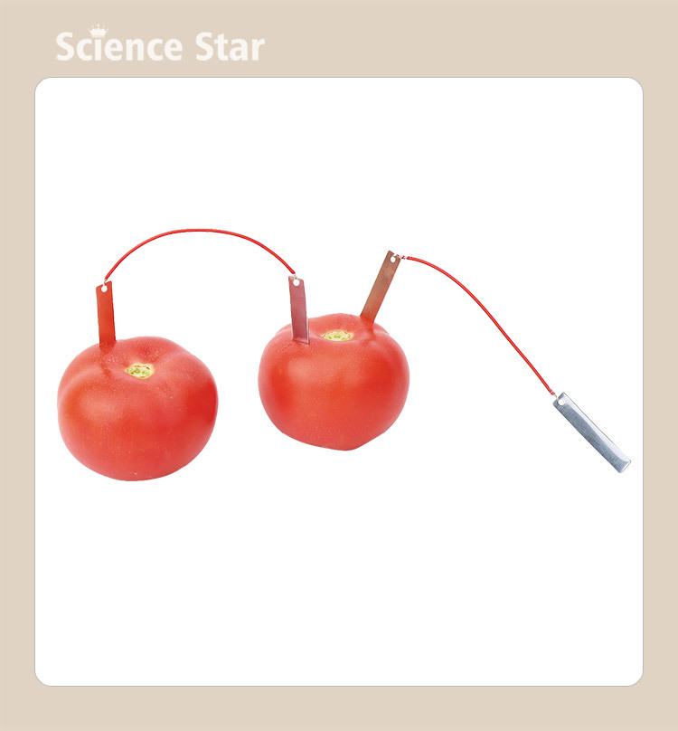 自制水果电池小学生diy科技小制作 锌铜片发电物理实验器材材料包详情7