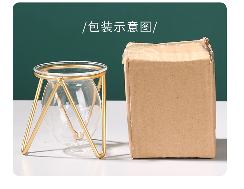 Nordic ins metal, ironwork, glass, hydroponic container, flower arrangement, creative home and office desktop flower arrangement pic 35