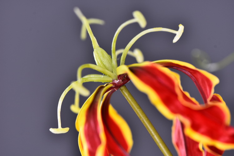 Lanjin artificial Plant Long Branch 3-head Jialan Flame Lily, high-end artificial flower, artificial flower, artificial flame lily, strange lily, home decoration pic 22