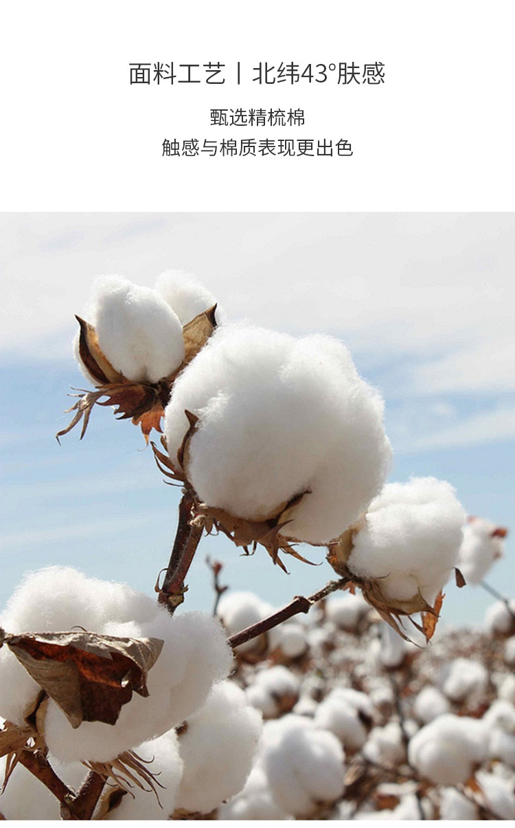 新款女隐形春夏女士袜子纯色防掉跟隐形袜点胶空调袜室内袜脚底袜详情68