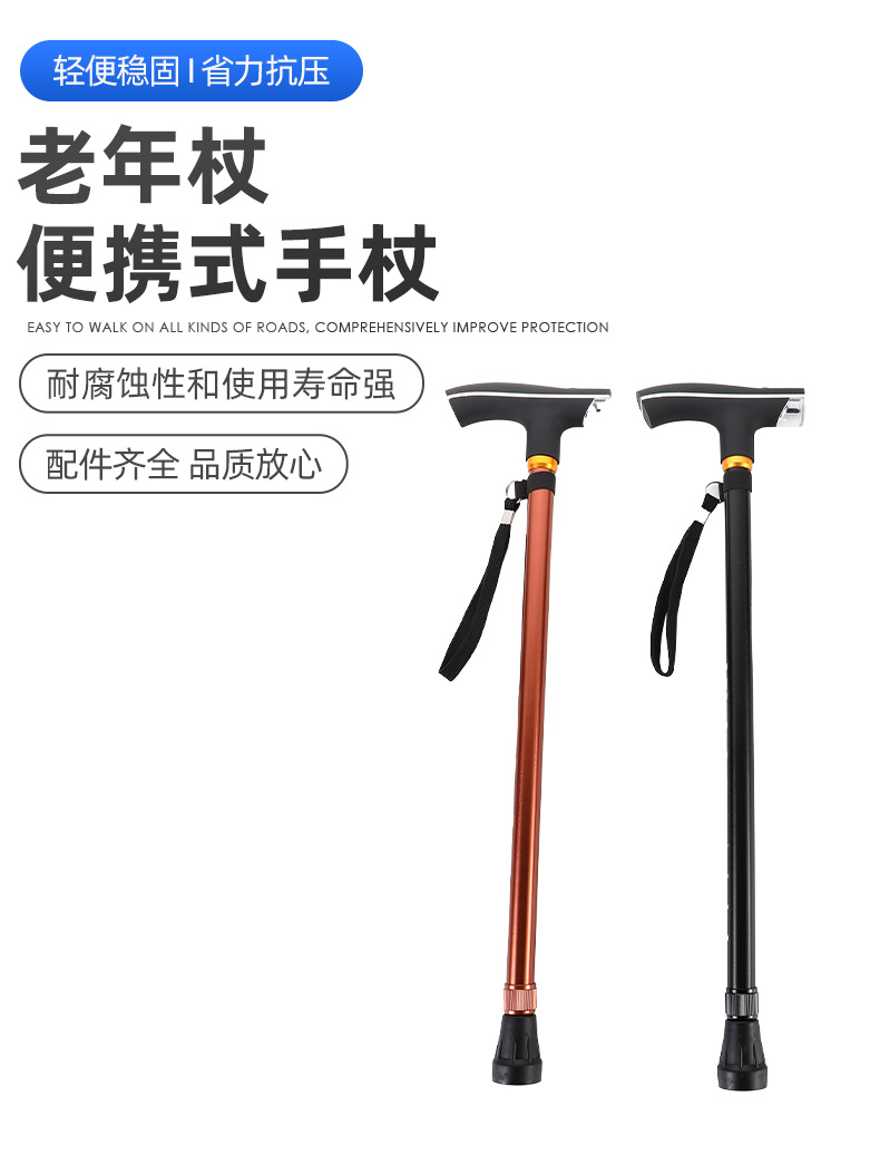 智行（登山杖）1_01.jpg