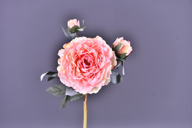 Factory direct sales of faux peonies with charred edges, wholesale of retro faux paeonies, living room and dining table flowers, wedding decoration artificial flowers pic 25