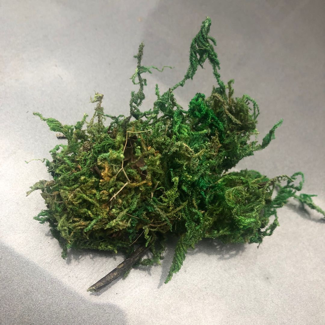 Artificial flowers, artificial lawns, artificial trees, artificial flowers, artificial lawns, artificial tree trunks, water moss, fresh moss, artificial green moss, bonsai, decorative landscaping, green moss, moss grass, artificial flowers, artificial lawns, artificial trees pic 1