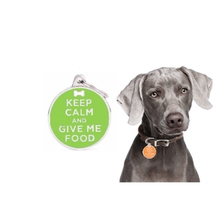 Cross-border new fashionable pet dog brand, metal dog collar, pet cat brand, anti-loss pet necklace, jewelry and accessories pic 4