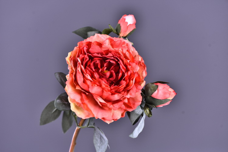 Factory direct sales of faux peonies with charred edges, wholesale of retro faux paeonies, living room and dining table flowers, wedding decoration artificial flowers pic 5