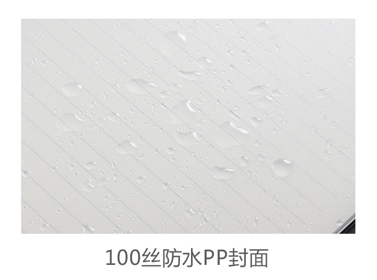 Transparent PP binding coil notebook, creative and simple side-flip grid horizontal line notebook, notepad, student stationery wholesale pic 6