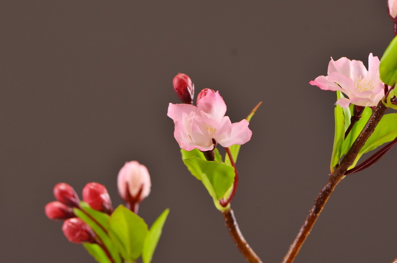 Dongli Flower Industry, the original manufacturer, offers wholesale of high-end artificial flowers, pendulous crabapple, home decoration sample rooms, photography props, and one-piece consignment of crabapple flowers pic 13