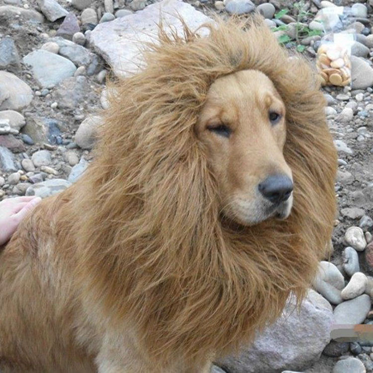 Pet headgear, winter warm and comfortable dog headwear, Halloween pet lion head wig, pet wig supplies pic 5
