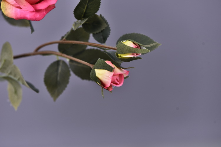 Factory wholesale of 5-head simulated rose with charred edges, retro Greek rose, living room, hotel and homestay photography props rose pic 47