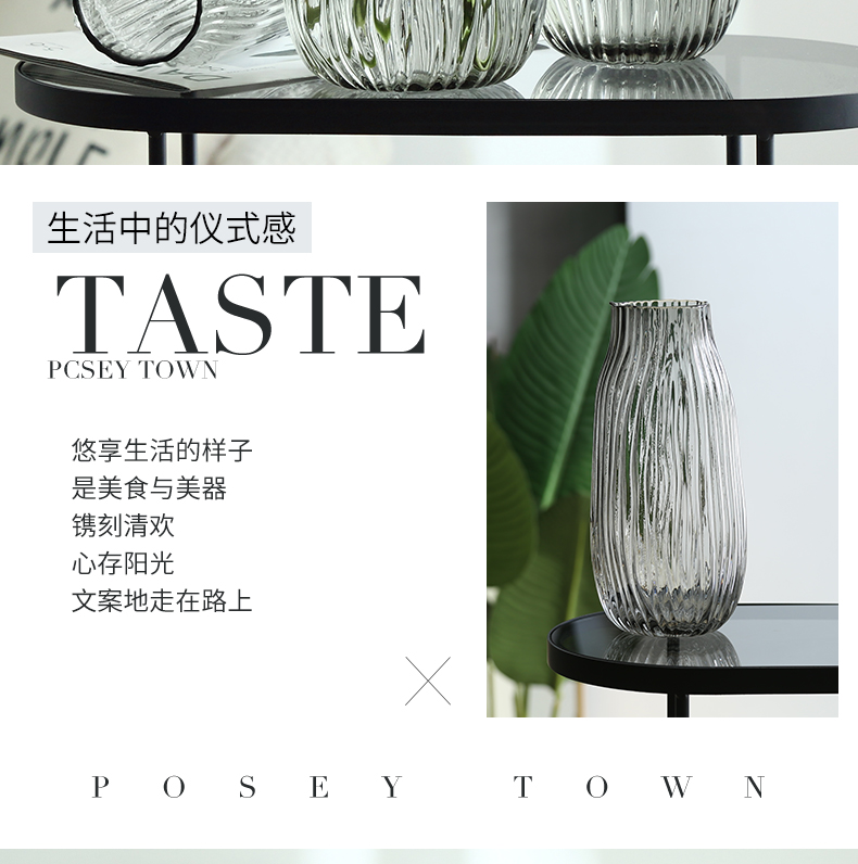 纳纶大号玻璃花瓶透明水养富贵竹百合花瓶摆件客厅插鲜花干花北欧详情8