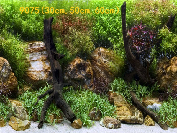 Wholesale production of 60cm high single-sided thin paintings, various ecological aquarium background paintings. Craft paintings. Aquarium equipment pic 81