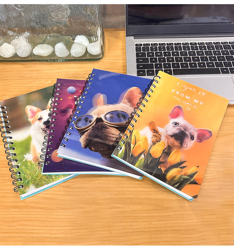 跨境3D变幻线圈本可爱卡通立体光栅本学生口袋便携本办公记事本详情4