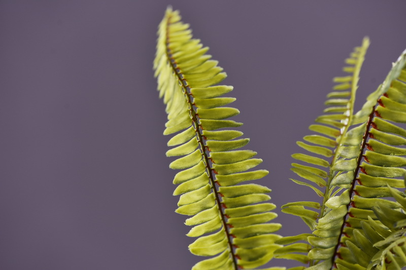 Wholesale of artificial Persian grass and artificial green plants, plant wall landscaping, window display, flower arrangement, leaf materials, fur, and artificial fern leaves pic 5