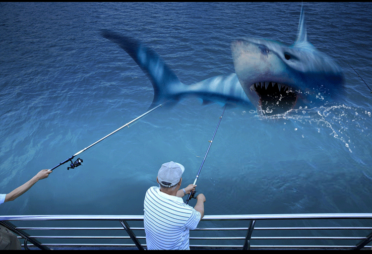 3779326766_1882307635