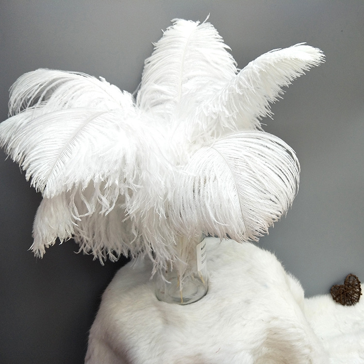Factory stock: 35-40 cm ostrich feathers for wedding decoration, home decoration, table lamp feathers pic 29
