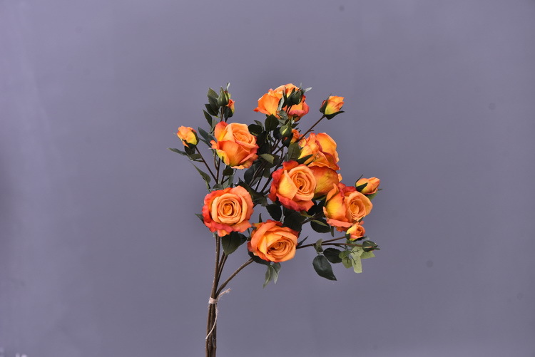 Factory wholesale of 5-head simulated rose with charred edges, retro Greek rose, living room, hotel and homestay photography props rose pic 24