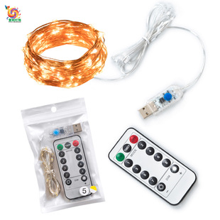 灯串 纽扣彩灯串批发 鲜花蛋糕礼盒装饰铜线灯led电池圣诞灯 串灯详情8