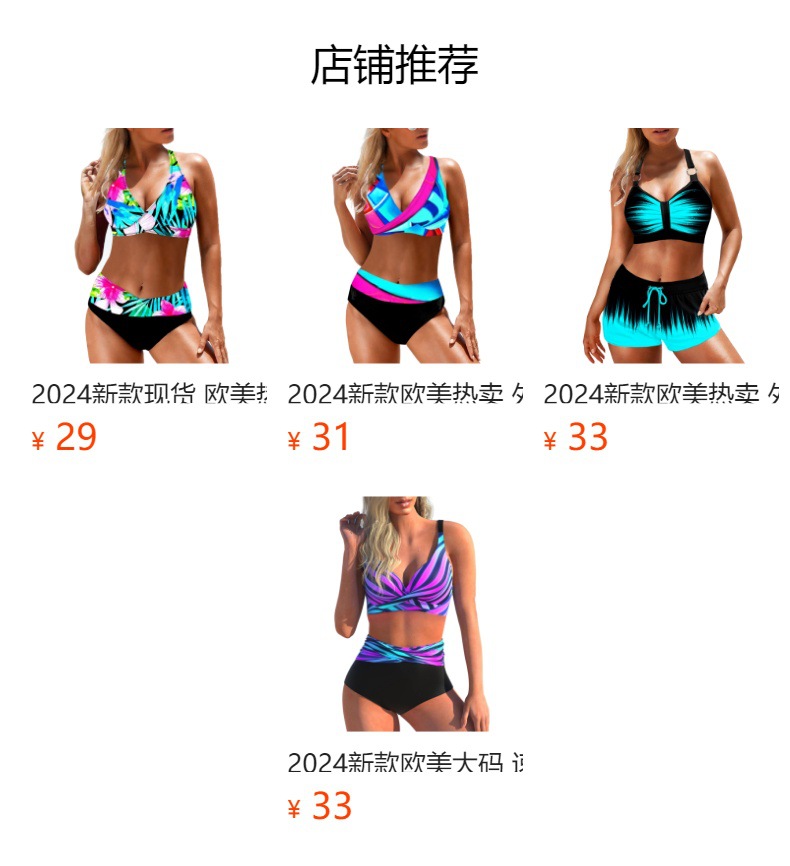 2024新款跨境欧美大码女速干性感露背高腰两件套比基尼泳衣批发详情16