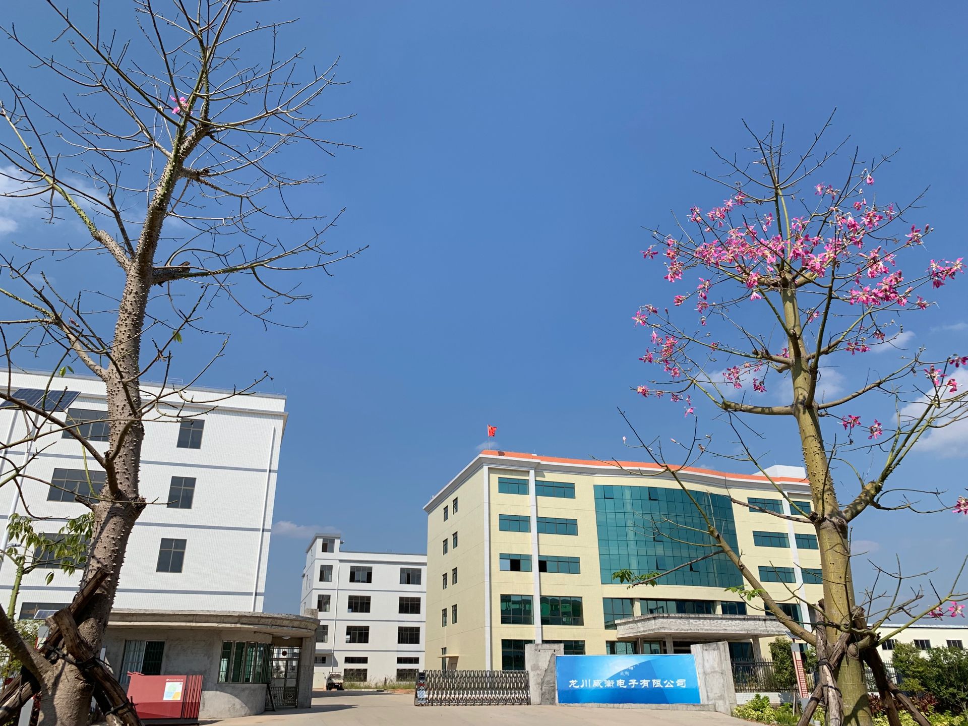 WeiHeng rechargeable keychain portable scale WH-A21 mini electronic scale, electronic portable scale, can weigh up to 25kg per jin pic 2