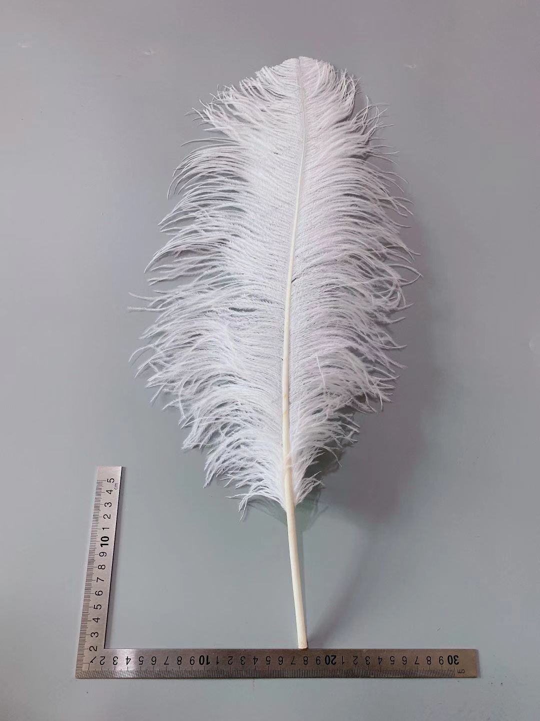 The manufacturer has 60-65 cm colored ostrich feather wedding window carnival prop decorative feather table lamp in stock pic 37