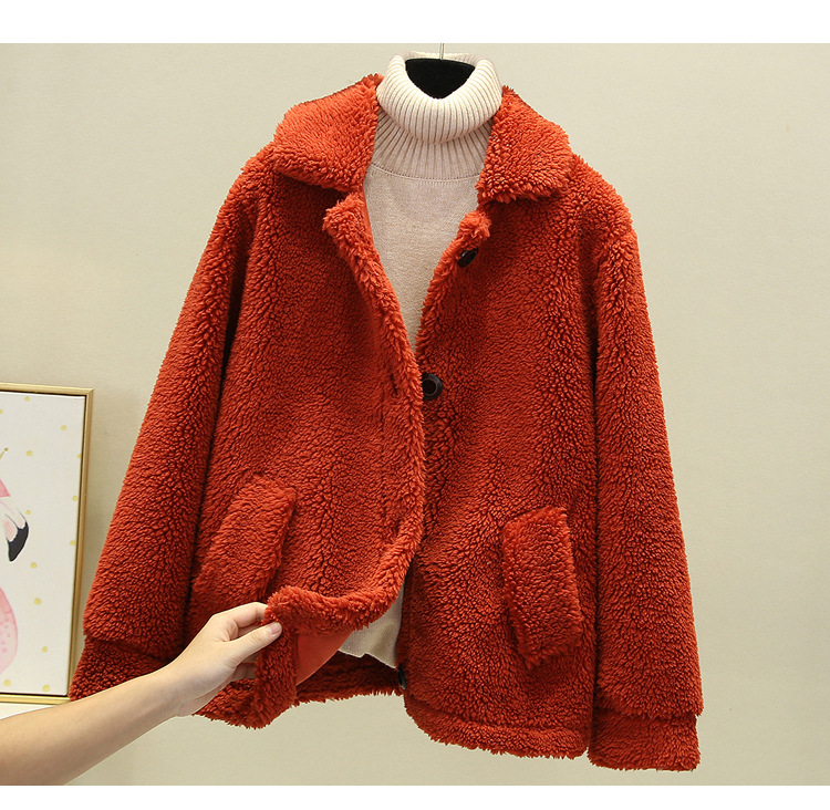 A new autumn and winter casual lambskin plush fur coat for women, a short Korean-style granular fleece warm top pic 3