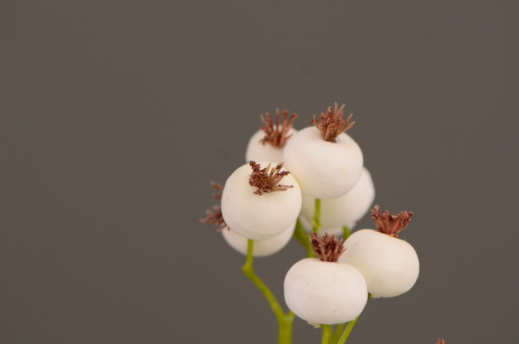 Dongli Flower Industry offers wholesale of artificial flowers for Chinese-style living room, home and dining table decoration. We provide one-piece consignment services for large branches, multi-headed artificial berries, rose fruits, small white fruits and green fruits pic 9