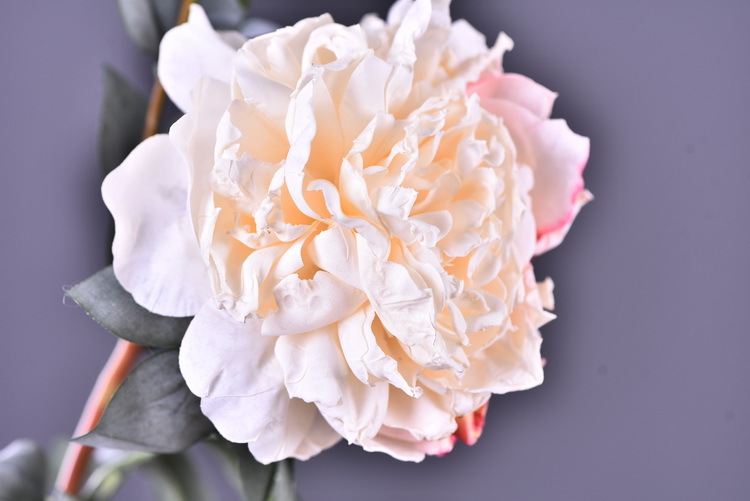 Factory direct sales of 2 simulated peonies, retro charred edge simulated peonies, soft decoration floral art for living rooms, lobbies and homestays pic 23