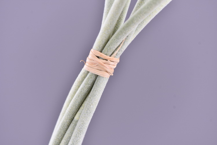 High-quality artificial flowers of windmill chrysanthemum in stock, windmill flower, pine, insect fruit, living room, wedding decoration, flower arrangement art, windmill fruit pic 19