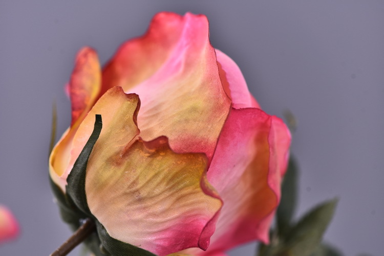 5 pieces of retro charred edge rose artificial flower decoration, artificial flower imitation dried flower, home soft decoration withered and dry, wedding Lanjin artificial rose wholesale pic 39