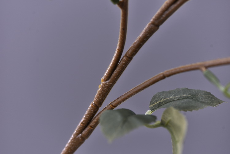 Factory wholesale of 5-head simulated rose with charred edges, retro Greek rose, living room, hotel and homestay photography props rose pic 49