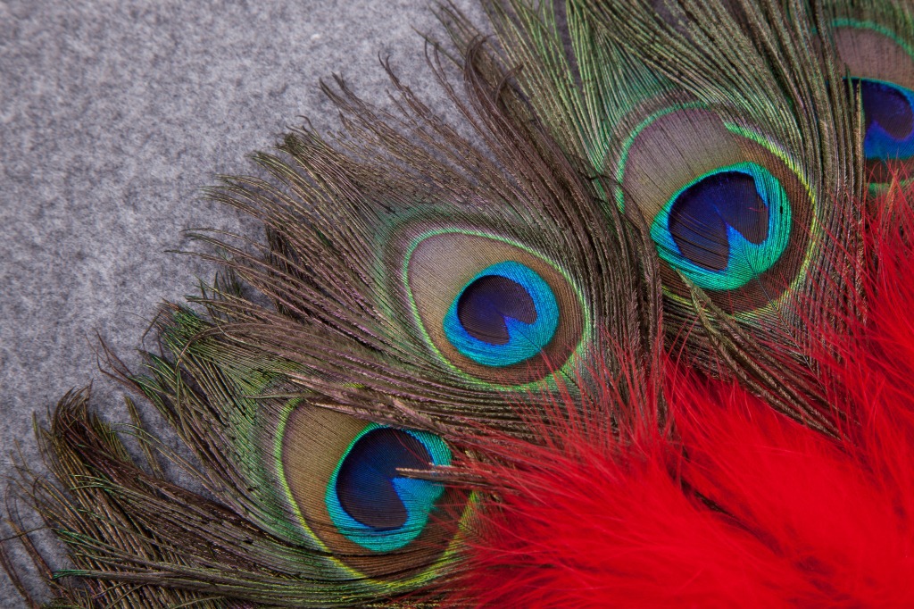 Peacock feather fan performance dance fan furniture arrangement stage props Peacock feather colorful pic 22