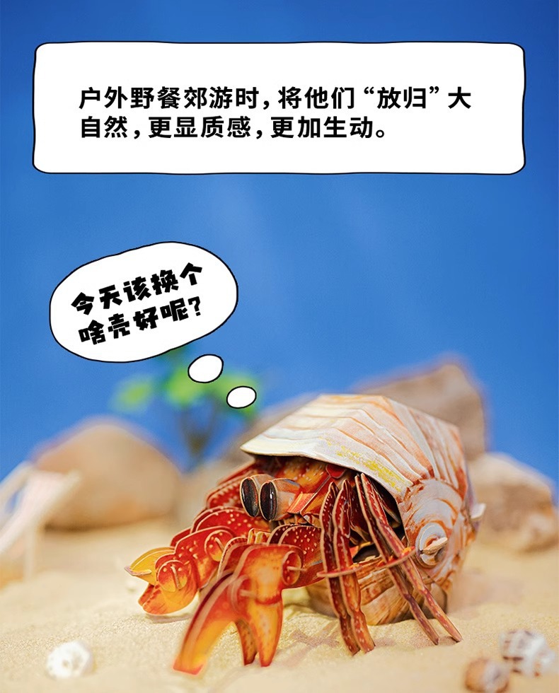 梦巴格3D立体纸拼图益智模型手工拼插装玩具自然科普橙红陆寄居蟹中国地理拼图详情7