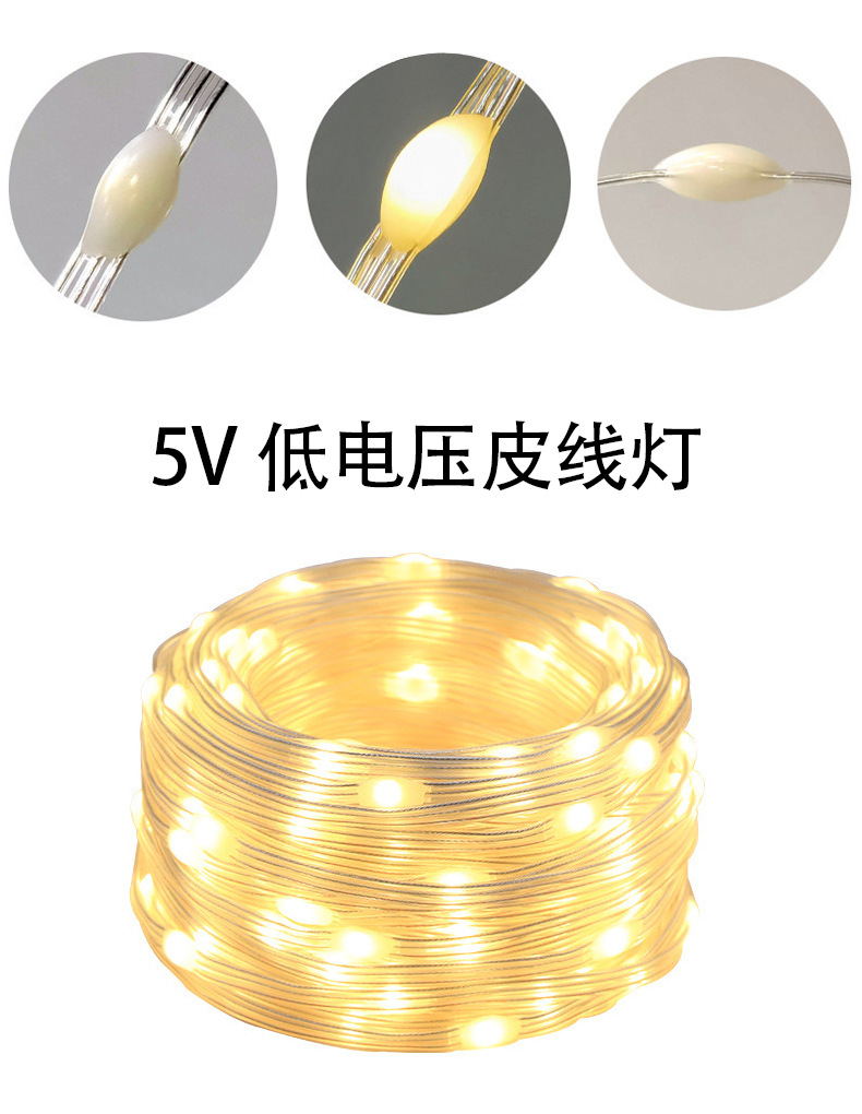 跨境智能点控LED灯饰RGB幻彩皮线灯星星灯串装饰氛围灯仙女串串灯详情14