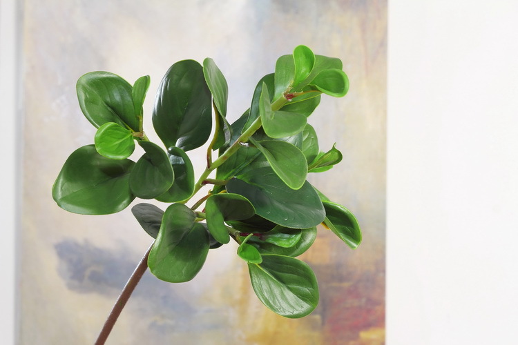 Dongli Flower Industry Factory offers wholesale of high-end artificial green plants with a touch, including green leaf jade and peperomia, as well as bouquets, desktop potted plants, and decorative flower arrangements pic 11