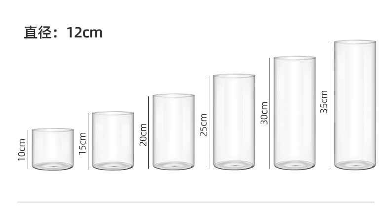 Wholesale transparent micro-landscape glass vase ornaments, hydroponic ecological bottles, diy moss tanks, succulent flower POTS, glass jars pic 28