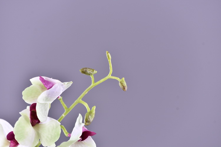 Factory direct sales of high-end artificial dendrobium, wholesale of artificial flowers with leaves, home decoration of Phalaenopsis and Lanjin artificial plants pic 7