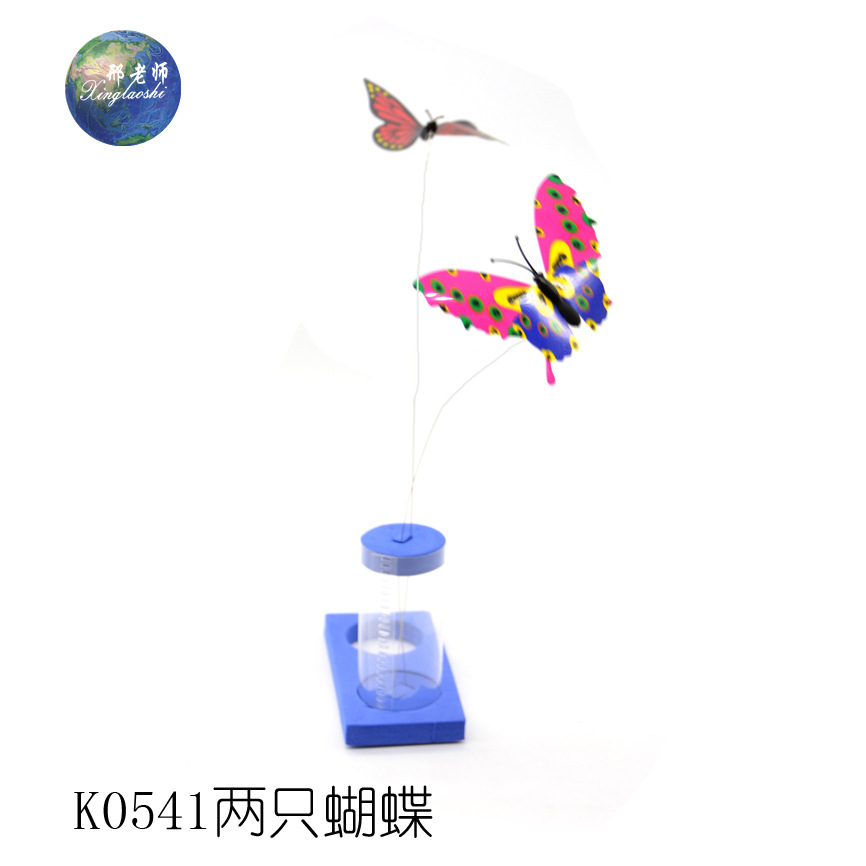 K0541 Two Butterflies Technology Small Creations and Inventions by Teacher Xing pic 7