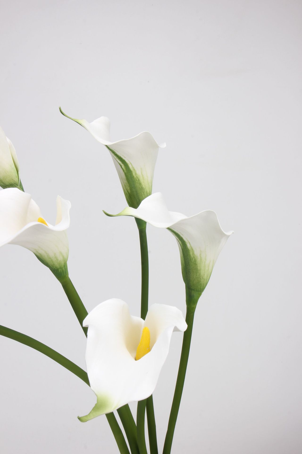 工厂直销 EVA马蹄莲仿真花海芋手感假花单枝婚庆家居插花配材道具详情31