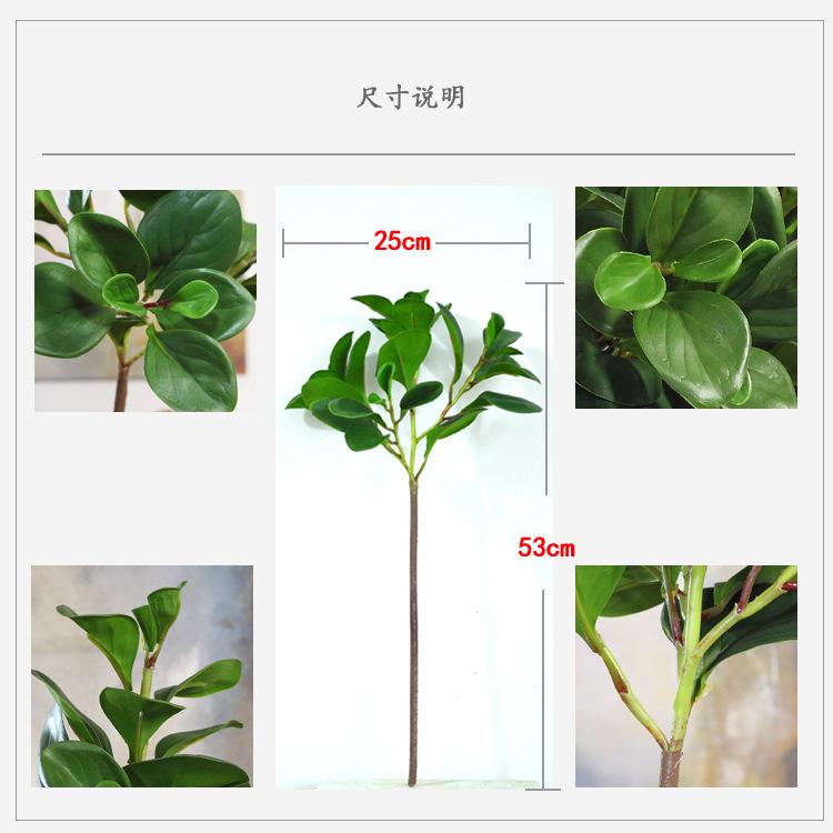 Dongli Flower Industry Factory offers wholesale of high-end artificial green plants with a touch, including green leaf jade and peperomia, as well as bouquets, desktop potted plants, and decorative flower arrangements pic 3