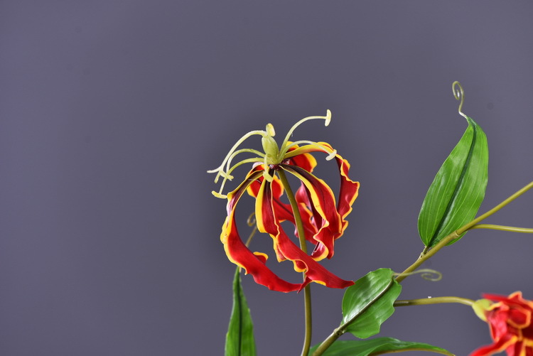 Lanjin artificial Plant Long Branch 3-head Jialan Flame Lily, high-end artificial flower, artificial flower, artificial flame lily, strange lily, home decoration pic 15