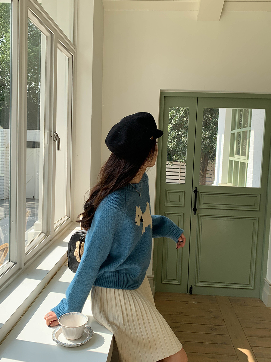 3th Morning North Island Park Korean Style Youthful Dog Embroidered Round Neck Pullover Sweater ZY2381 pic 37