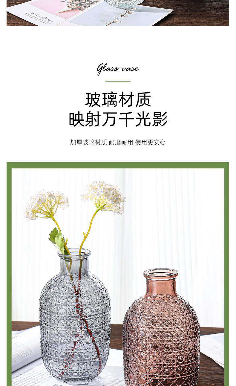 跨境新品 欧式风格 玻璃花瓶 ins风格 客厅桌面水养 插花瓶 创意装饰花瓶 水培摆设 其他分类详情5