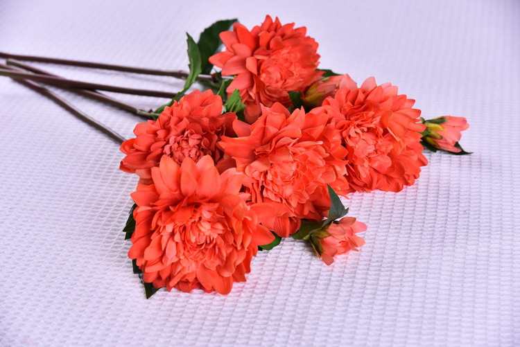 Factory direct sales of high-end artificial dahlia with realistic touch, wholesale of high-end artificial dahlia for home decoration, shopping malls and hotels pic 29