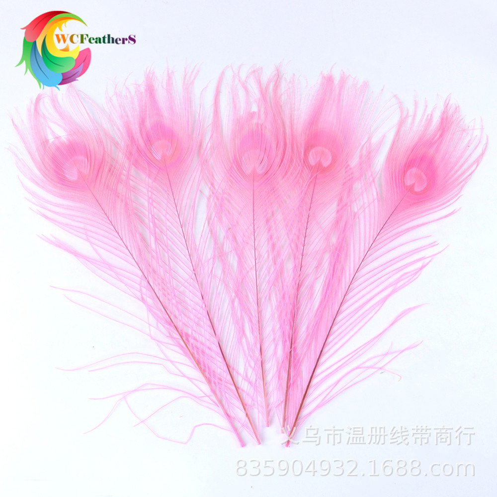 温册厂家直销天然孔雀羽毛DIY家居花瓶装饰婚庆道具新娘胸花材料详情10